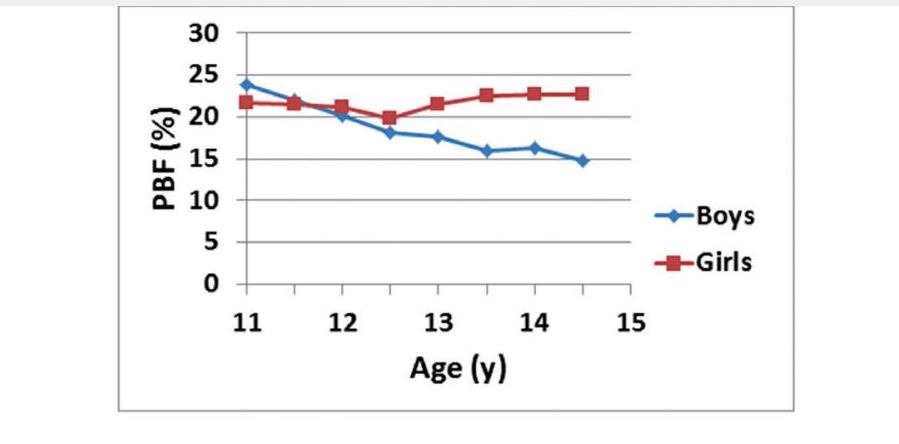 Pbf Meaning Weight